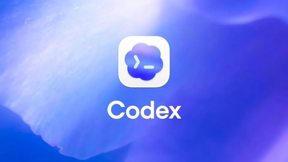 codex API KEY